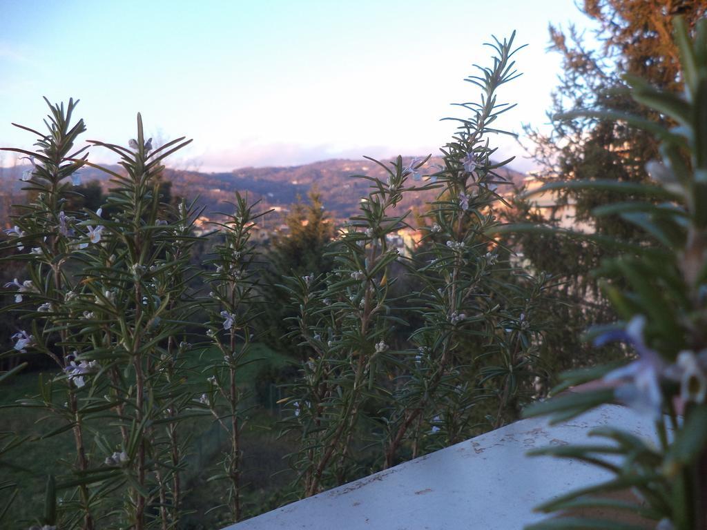 Apartment Montecatini-Terme Near Firenze, Lucca, Pisa Ruang foto